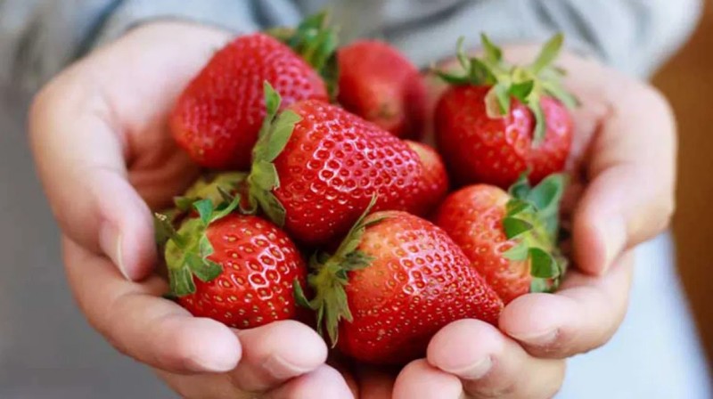 Strawberries Lose Weight Fast