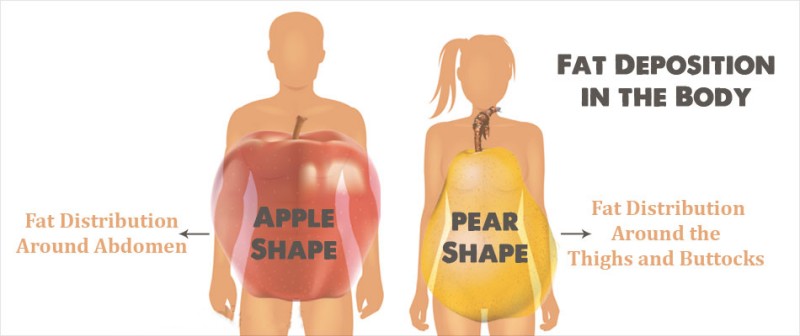 fat deposition in the body
