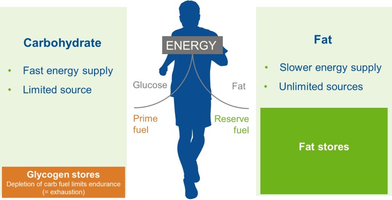 Carbohydrate Energy and Fat Energy