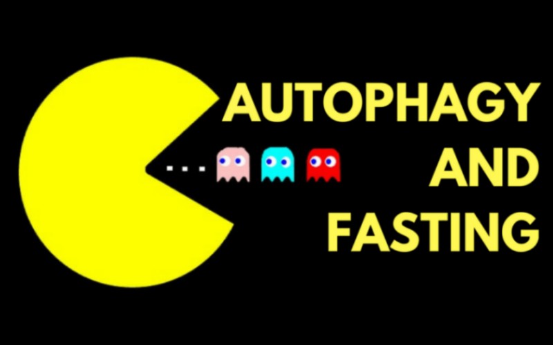 Cellular Autophagy And Fasting