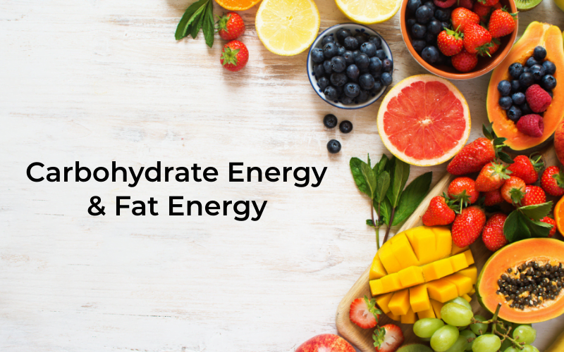 Difference Between Carbohydrate Energy and Fat Energy