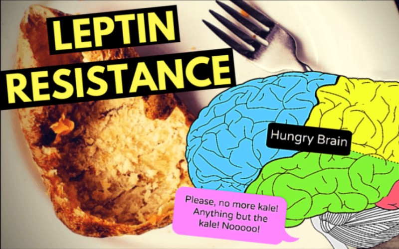 How Leptin and Leptin Resistance Affect Weight Loss