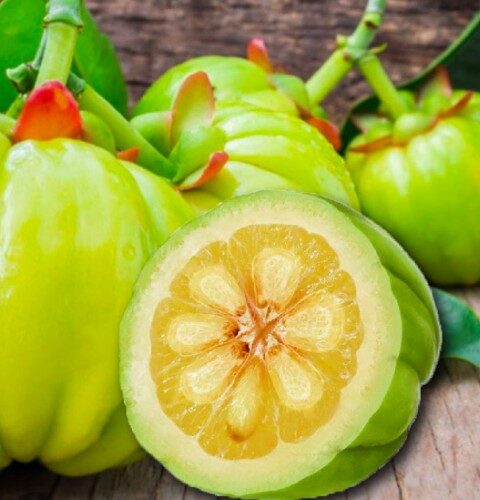 How to Lose Weight with Garcinia Cambogia