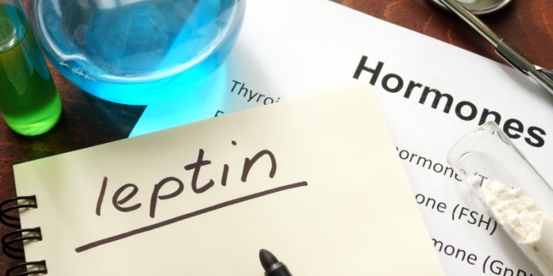 What Causes Leptin Resistance