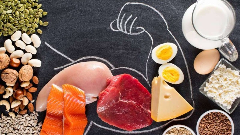 Dangers of a High-Protein Diet