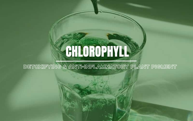 Chlorophyll - Best Detoxifying and Anti-Inflammatory Plant Pigment